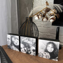 Kit 3 Quadros De Mesa